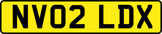 NV02LDX