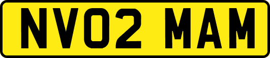 NV02MAM