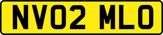 NV02MLO