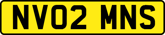 NV02MNS