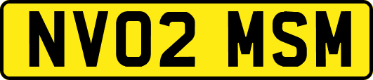 NV02MSM
