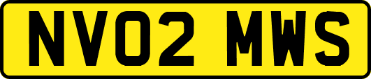 NV02MWS