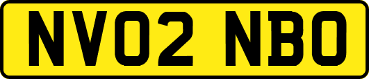 NV02NBO