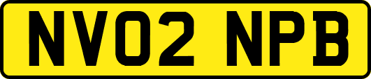 NV02NPB