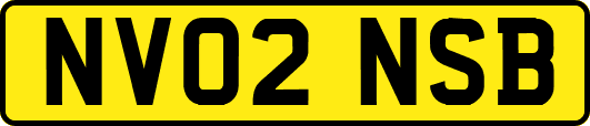 NV02NSB