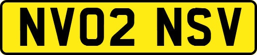 NV02NSV