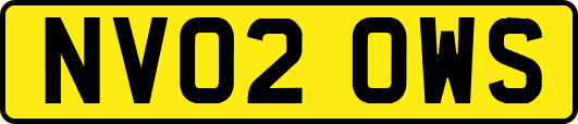 NV02OWS