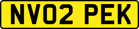 NV02PEK