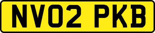 NV02PKB