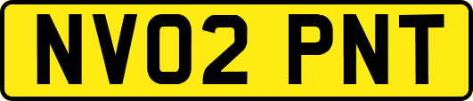 NV02PNT