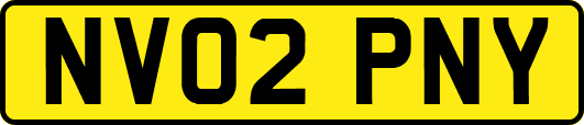 NV02PNY