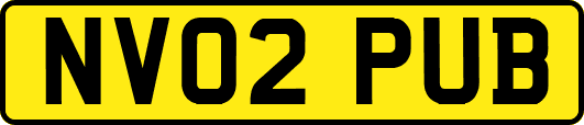 NV02PUB