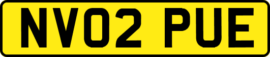 NV02PUE