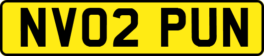 NV02PUN