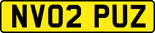 NV02PUZ
