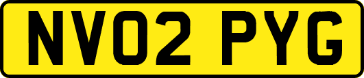 NV02PYG