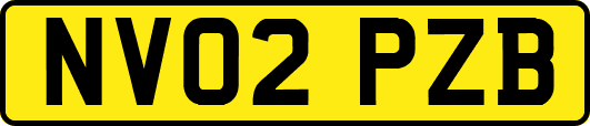 NV02PZB