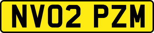 NV02PZM