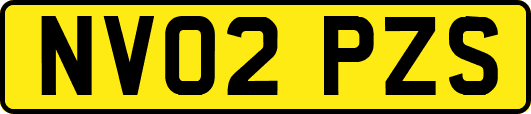 NV02PZS