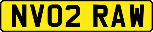 NV02RAW