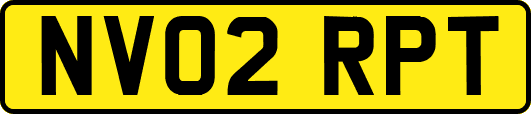 NV02RPT