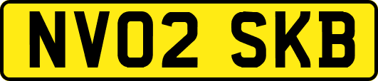NV02SKB