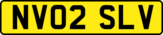 NV02SLV