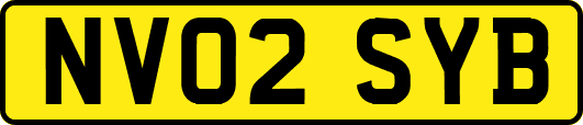 NV02SYB