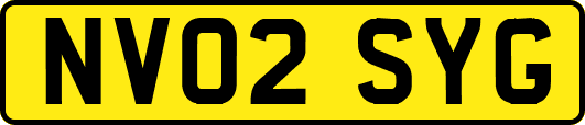 NV02SYG