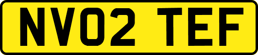 NV02TEF