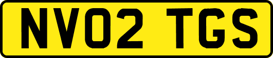 NV02TGS