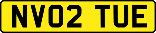 NV02TUE