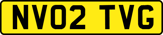 NV02TVG