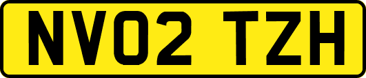 NV02TZH