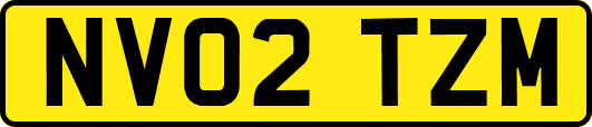 NV02TZM