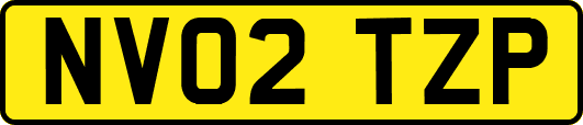 NV02TZP
