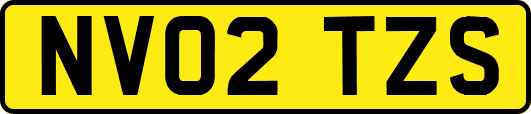 NV02TZS