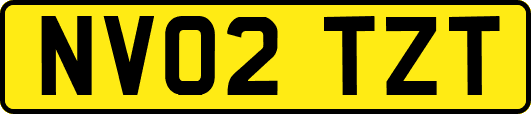NV02TZT