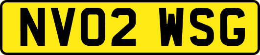 NV02WSG
