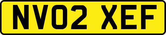 NV02XEF