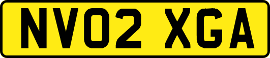 NV02XGA
