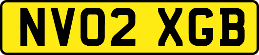 NV02XGB