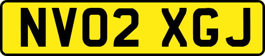 NV02XGJ