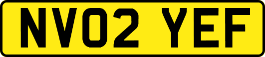 NV02YEF