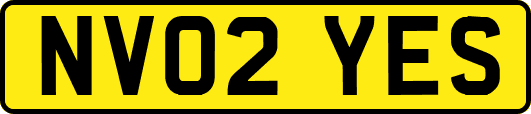 NV02YES