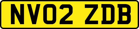 NV02ZDB