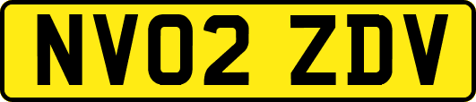 NV02ZDV