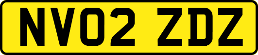 NV02ZDZ