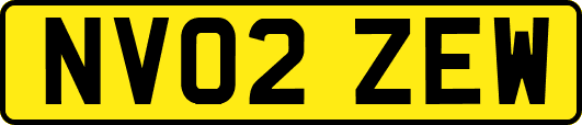 NV02ZEW