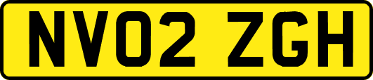 NV02ZGH